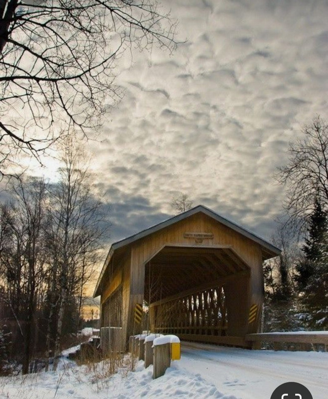 Screenshot_20230412_194606_Pinterest