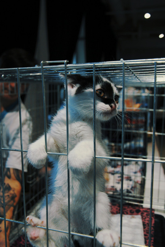 23-08-07_12-35-55-303