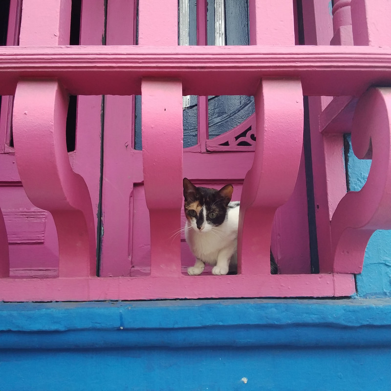 Зимовка 2026, полтора месяца в Колумбии.