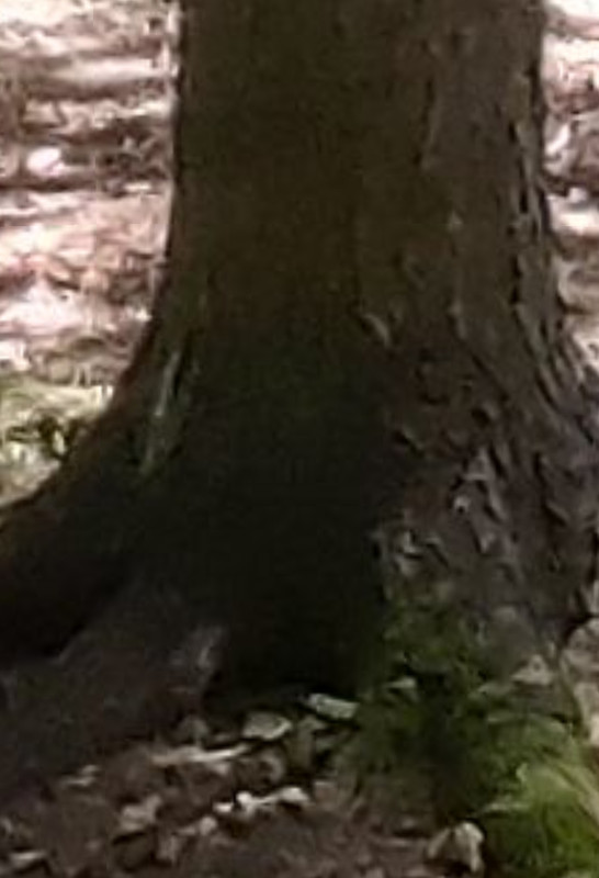 IMG 20251202 114148 496