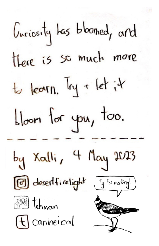 The back cover reads “Curiosity has bloomed, and there is so much more to learn. Try + let it bloom for you, too.” Below that, there is a dashed line, which has the words “by Xalli, 4 May 2023” underneath it. Underneath those words is the Instagram logo next to “desertfirelight,” the Neocities logo next to “tehuan,” and the Tumblr logo next to “canineical.” Next to those usernames is line-art of a little bird with a word bubble that says “Ty for reading!”