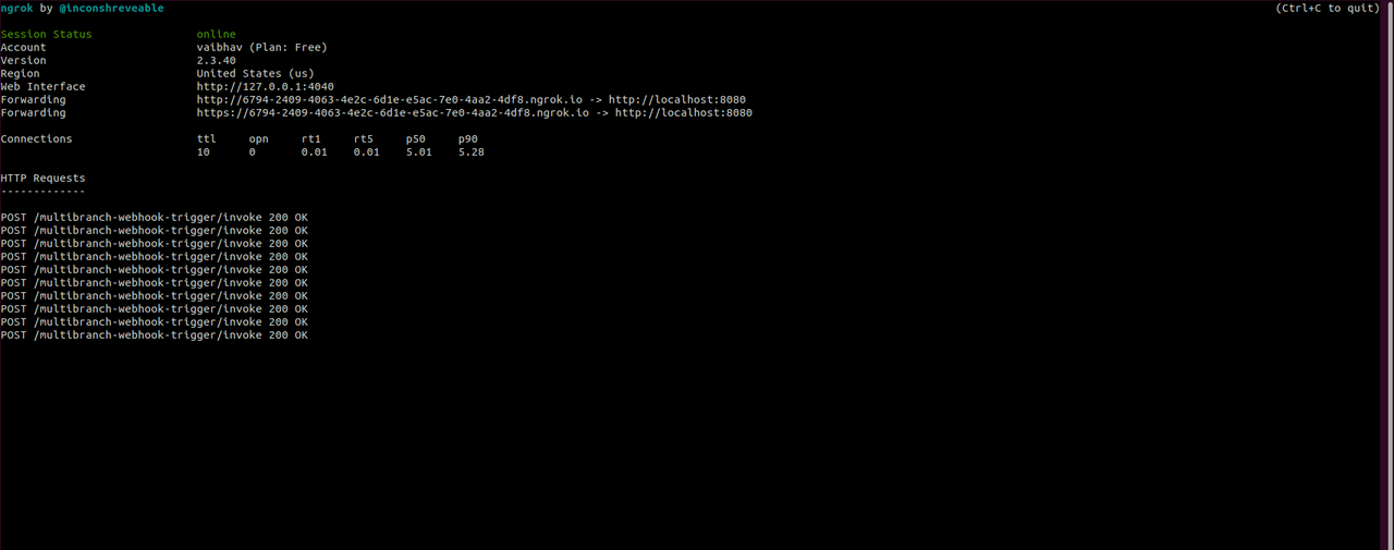 Ngrok Terminal output