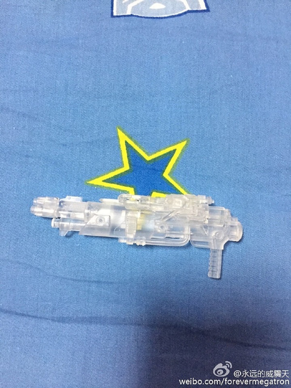 1896768_810208252398919_5907244270982212333_n