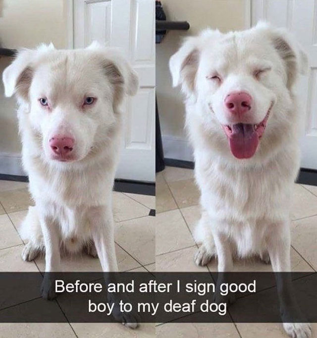 heartwarming-photos-4