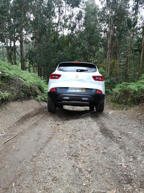 IMG-20190509-080515.jpg