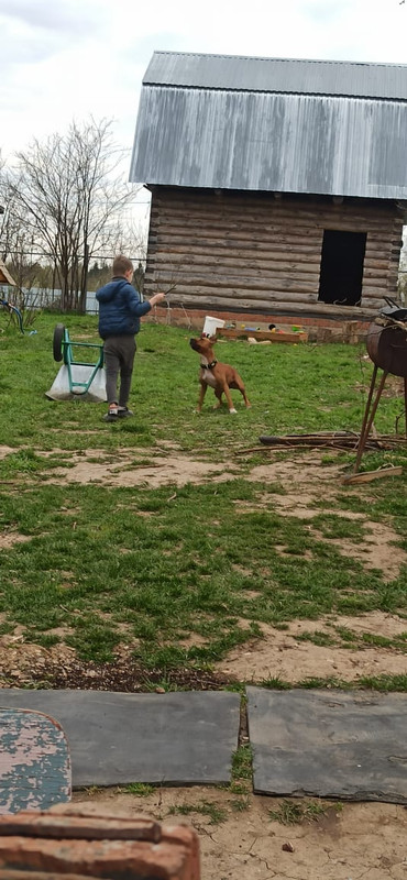 0C1F0E3E-2F81-470E-A4FD-59A26E34BB3B