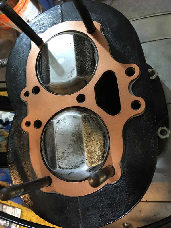pistons in with new coated head gasket