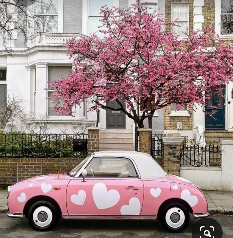 Screenshot_20230413_232142_Pinterest