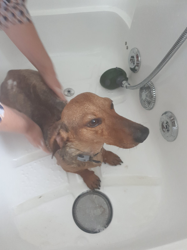 [Image: 20220621-151352.jpg]