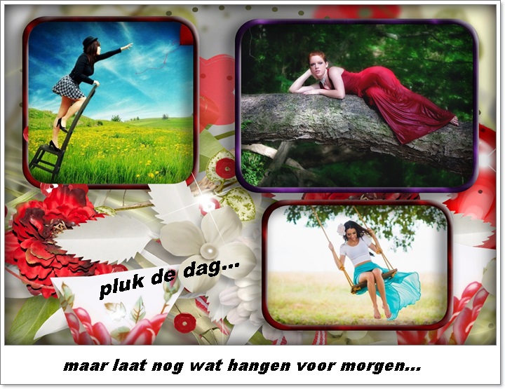 Klik op de afbeelding om de link te volgen