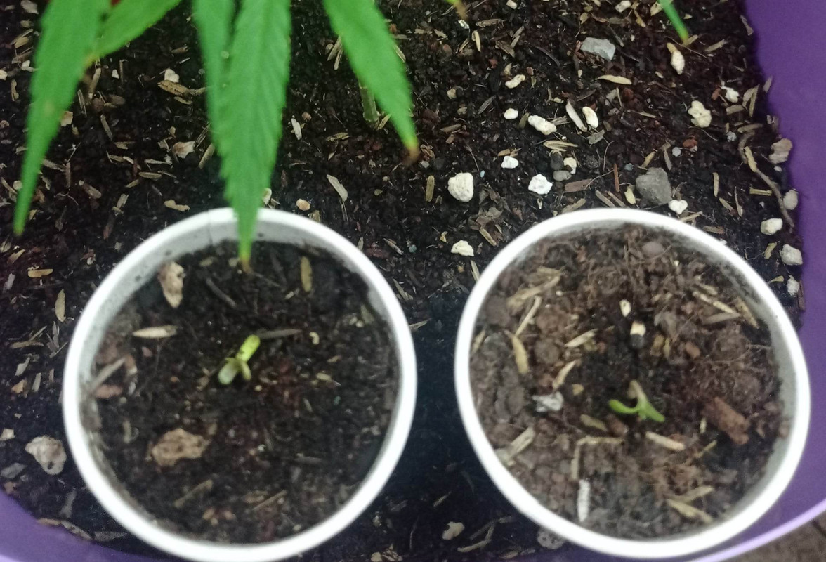 316695969_1630995560649409_8453418388265377361_n