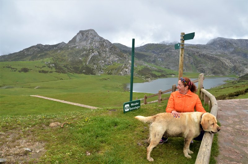 PICOS DE EUROPA-16-5-2013-LEON/ASTURIAS/CANTABRIA - Paseando por España-1991/2016 (37)