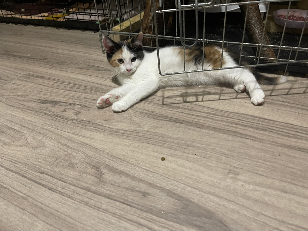 60335C70-CB60-42C9-9D3E-10A3B132B93F