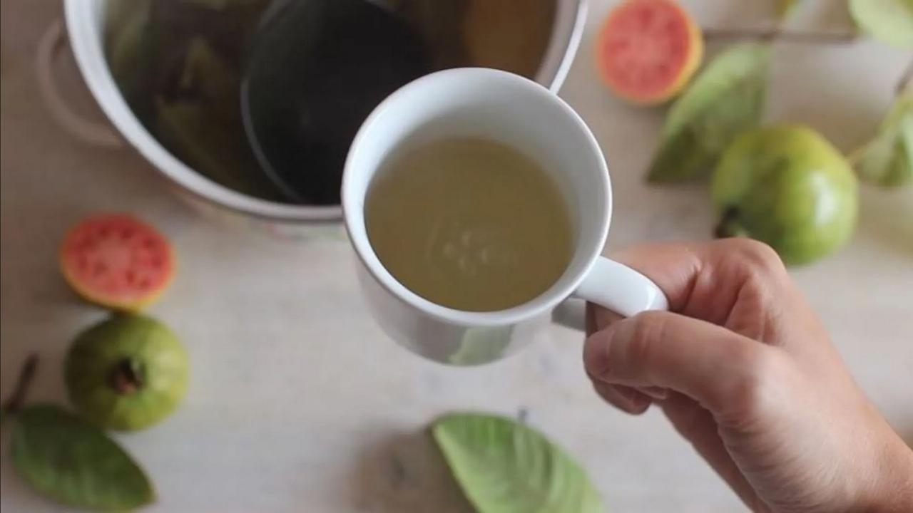¿Para qué sirve la infusión de hoja de guayaba y canela? Imperio Noticias