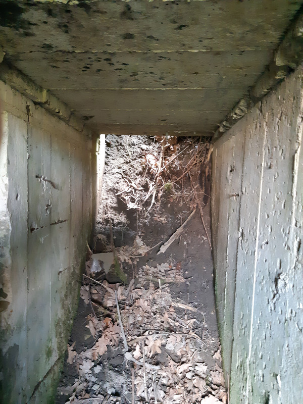 09.12d - 20220616_180631 (PiTT)