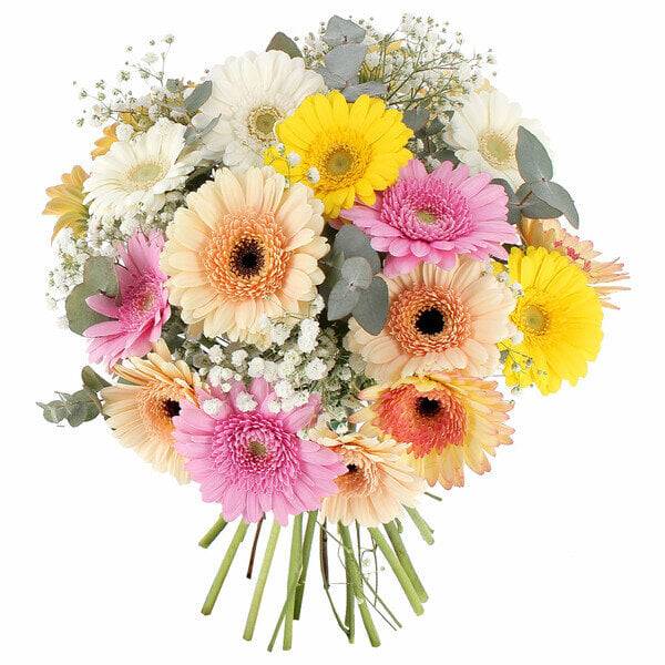 [Image: received-1109429887857554.jpg]