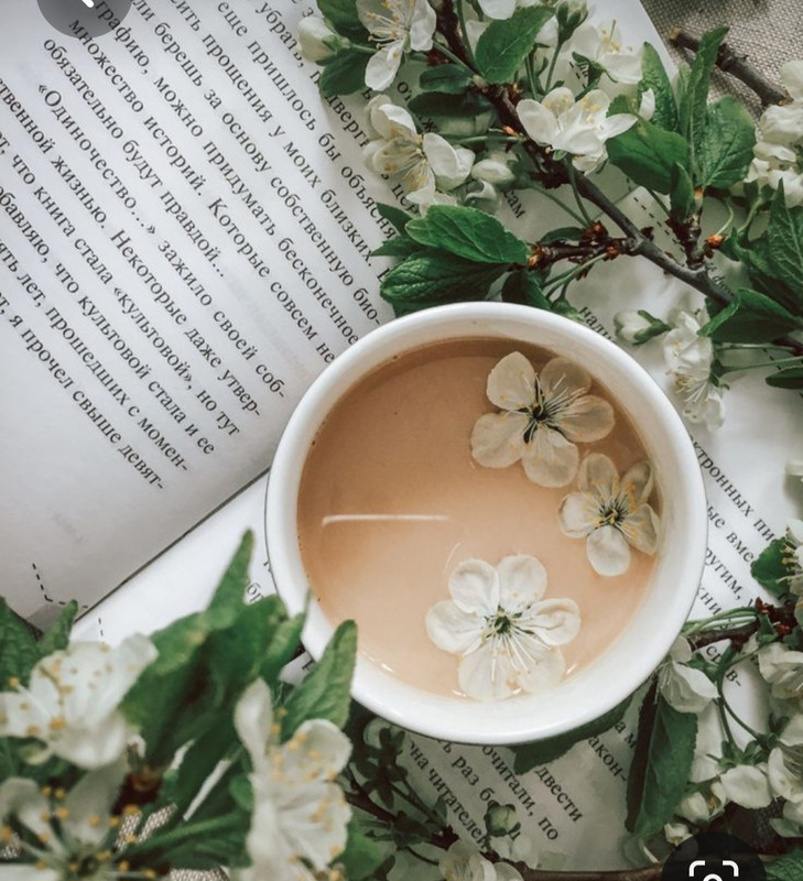 Screenshot_20230516_235541_Pinterest