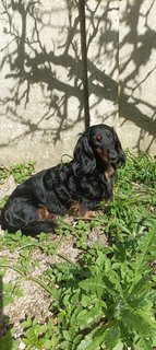 [Image: IMG-20250403-134050.jpg]