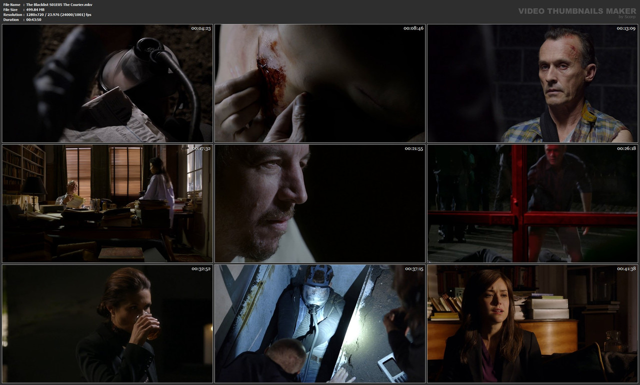 The Blacklist S01E05 The Courier.mkv