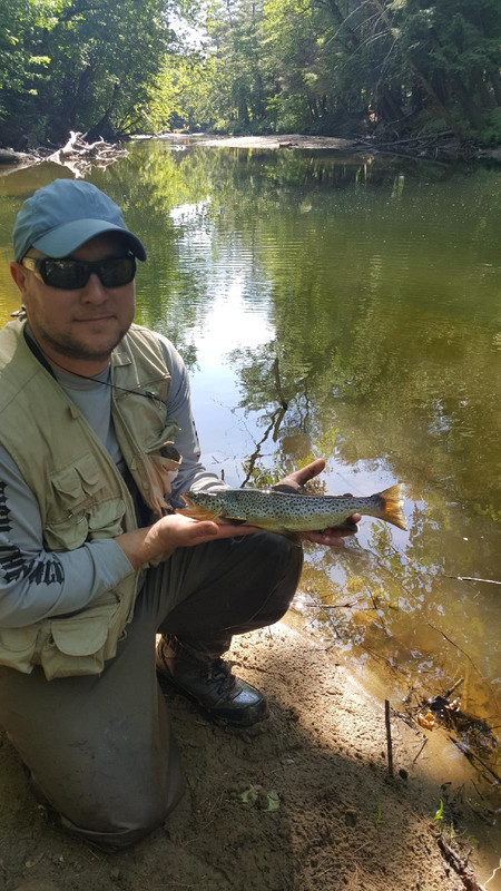 Resized_20180617_091130