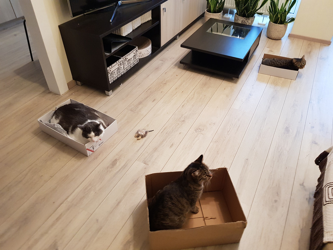 20191127-102625.jpg