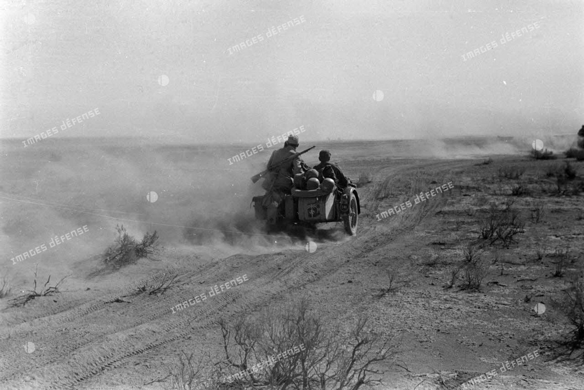 Side-cars qui roulent dans le désert 1941 (1)