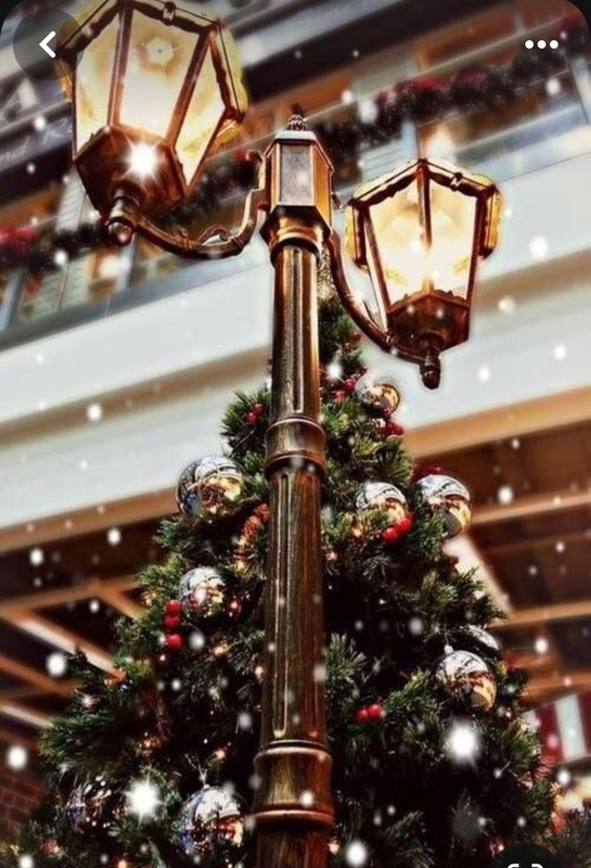 Screenshot_20231210_232521_Pinterest