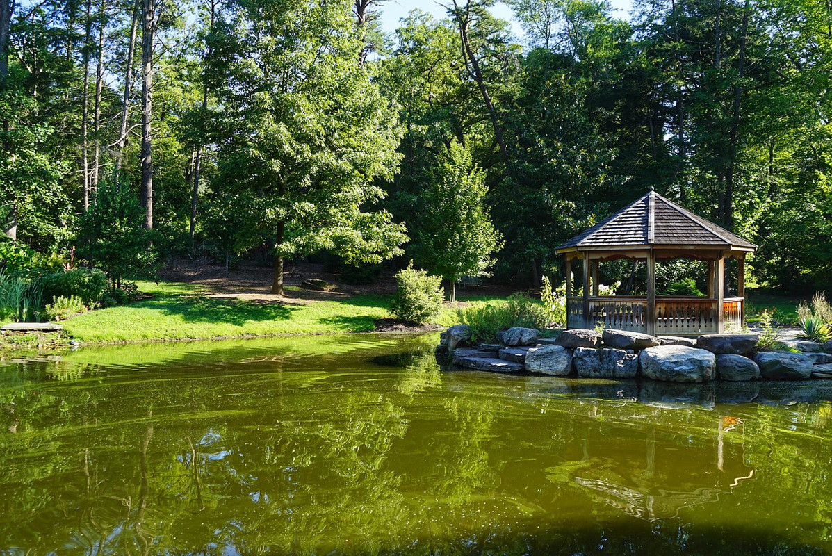 greensummergarden.jpg