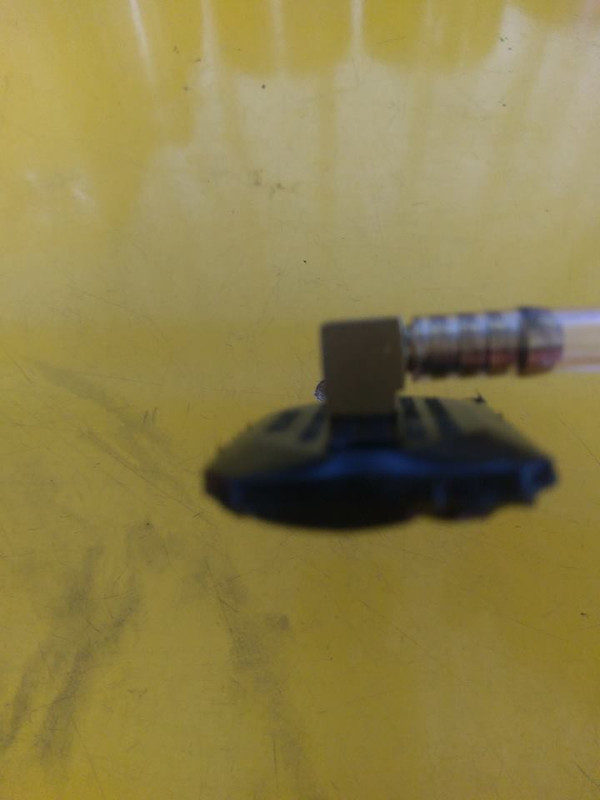 18740226_10154518456570423_5445996099359778038_n