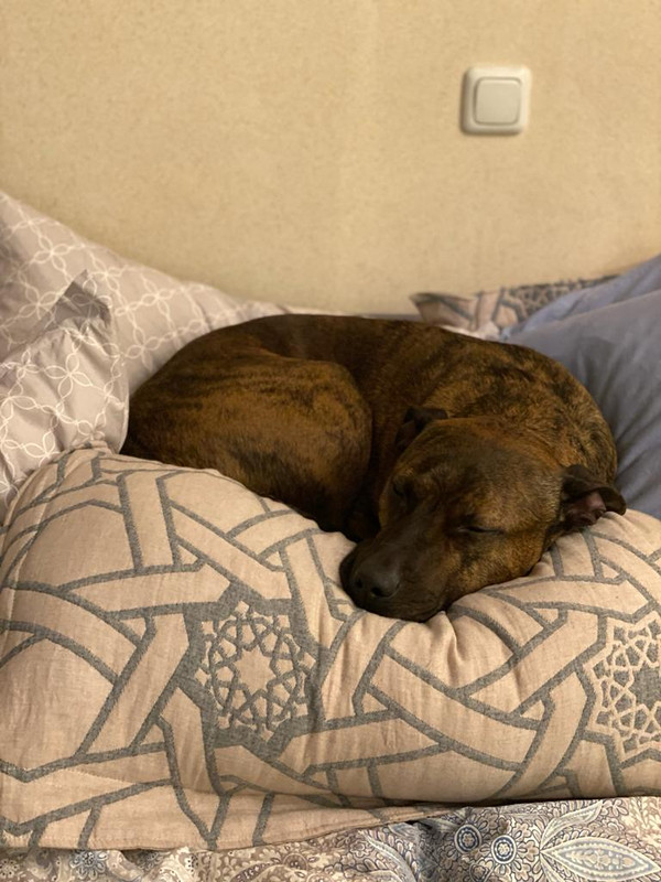 282F0391-B672-415F-8B95-1C33C4777C8F