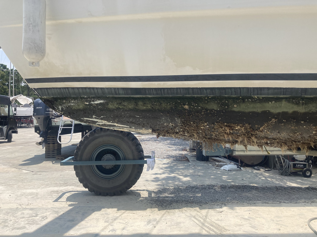 351F8184-B3A3-40DB-A9FF-9F6D86E1A5A8