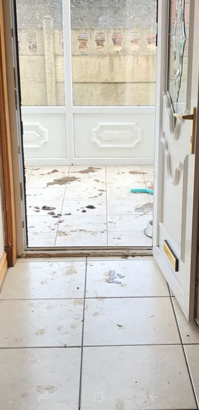 Screenshot_20180619-133244_WhatsApp