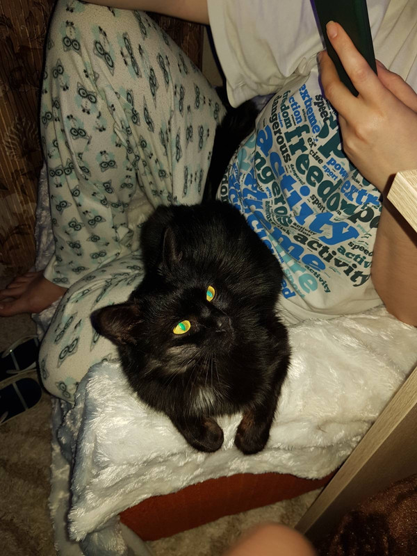 BCDD4F71-2C3F-4263-9E43-0E6493178AF1