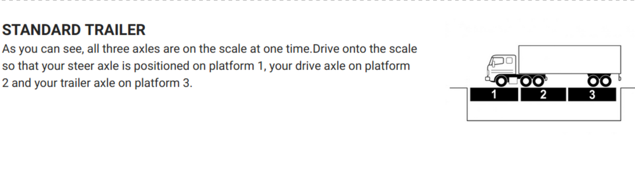 CatScale