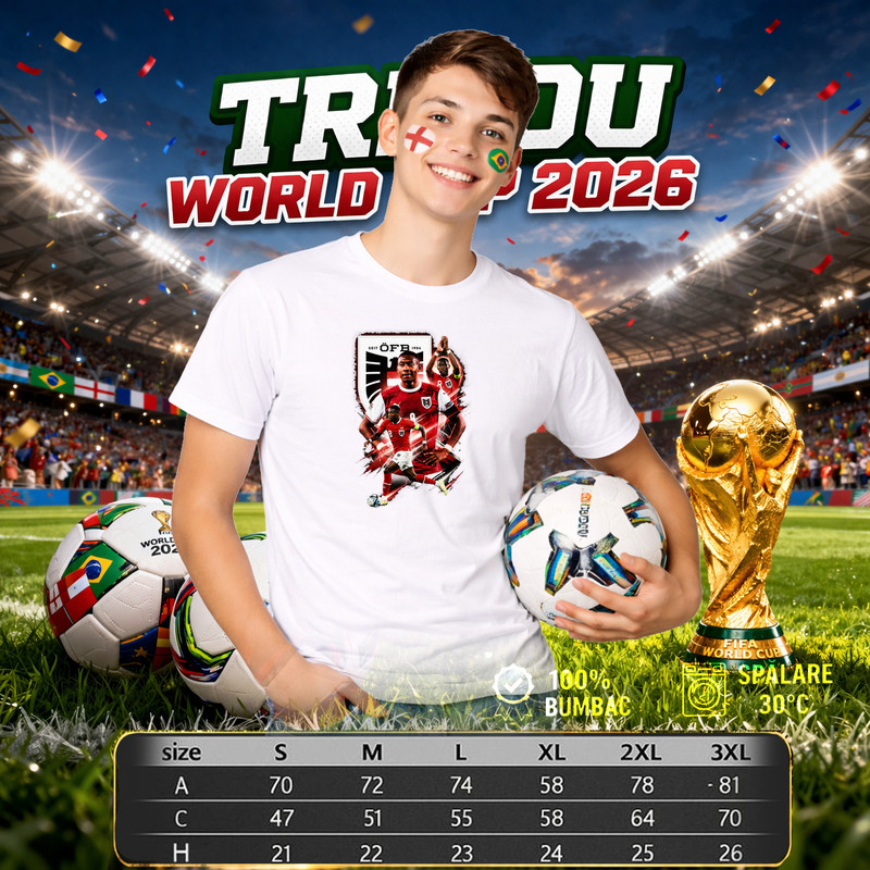 245 grafica 245 2