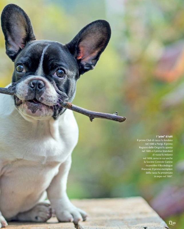 QuattroZampe Ott 2021 (8)