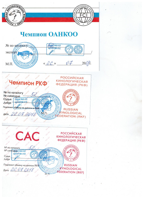 Безымянный