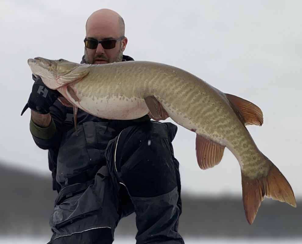 F7039D54-C1ED-46D1-9351-A361E8F7639C