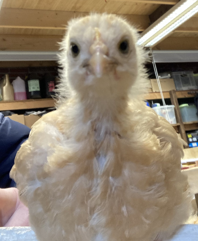 7FD3F494-E9FD-45C1-B00C-1BB82F16BCC4