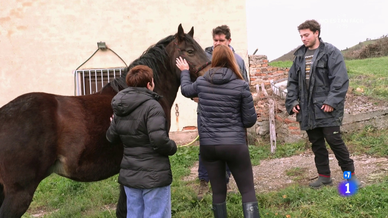 milaopayoculazomallas_oso4 (10)