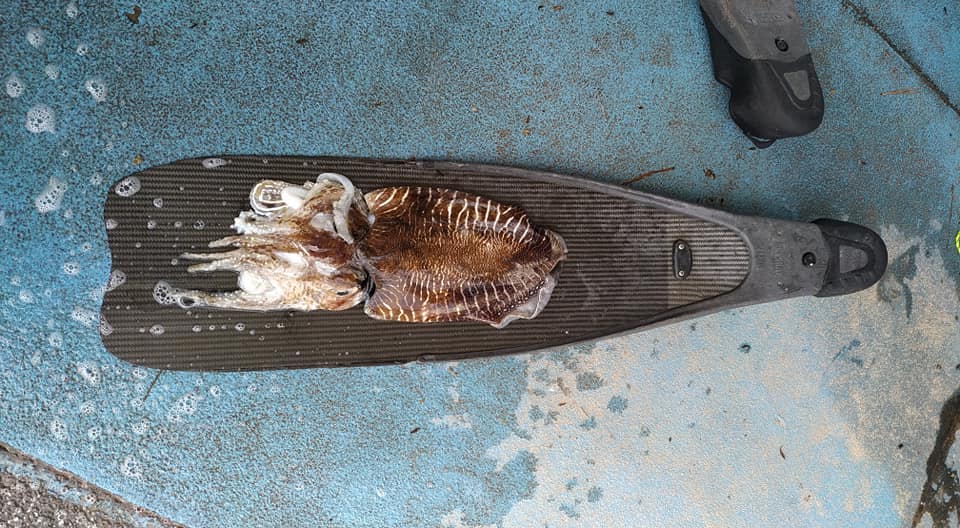 279060962_10225899021478401_4763039813473865663_n