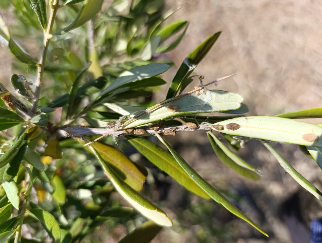 IMG_20250621_164437[1]