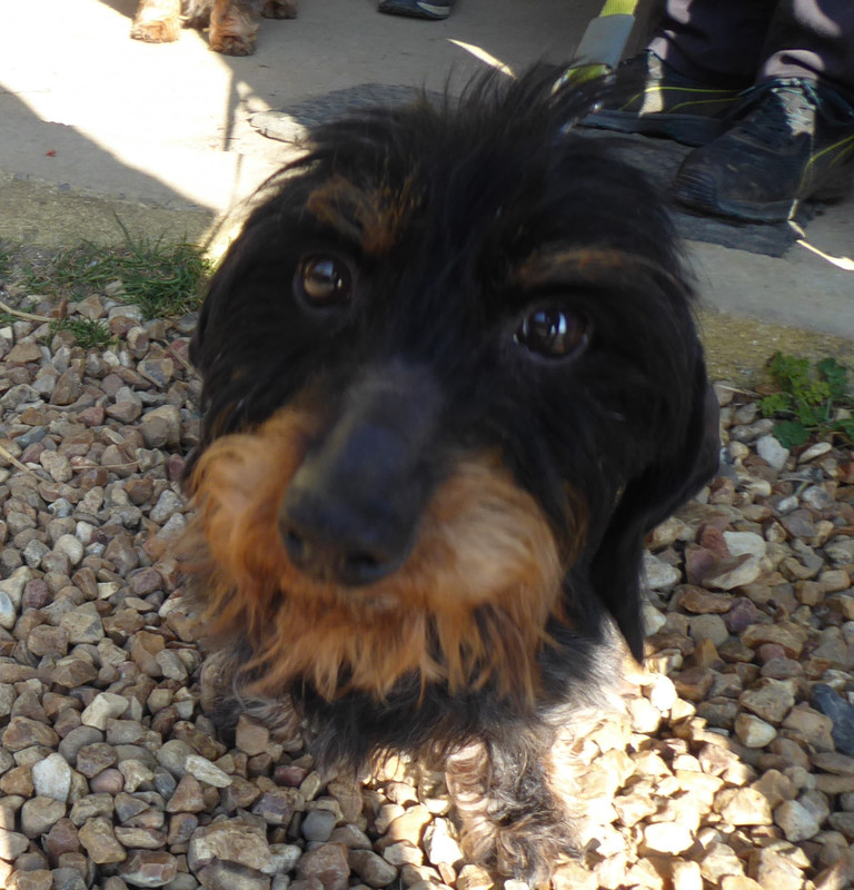 [Image: P1020205.jpg]