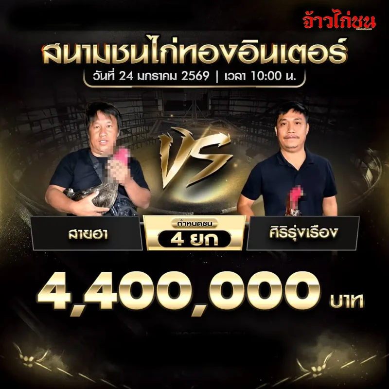 โปรแกรมไก่ชน สายฮา พบ ศิริรุ่งเรือง 4.4 ล้าน 4 ยก