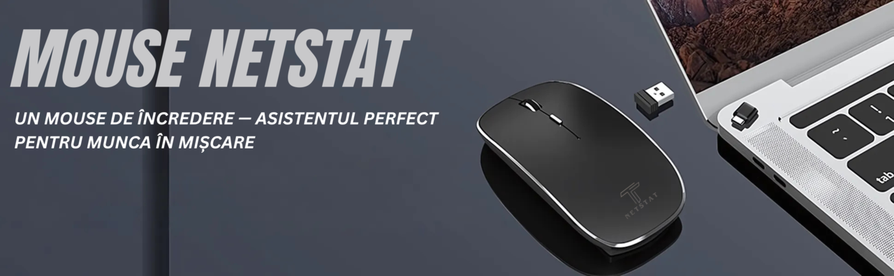Mouse NETSTAT Prezentare 1