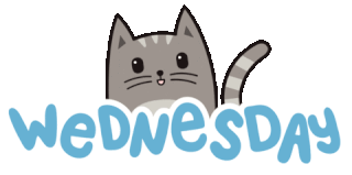 wednesday-kitten