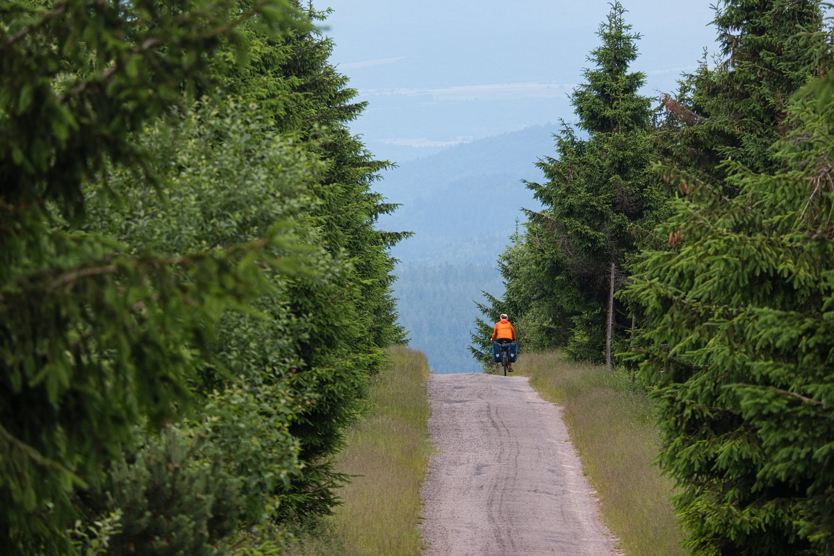 DSCF6876.jpg