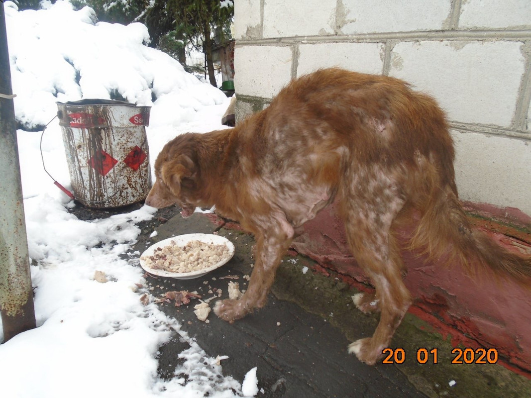 3706AECA-E0E2-490D-BA76-797E53B6A6C1