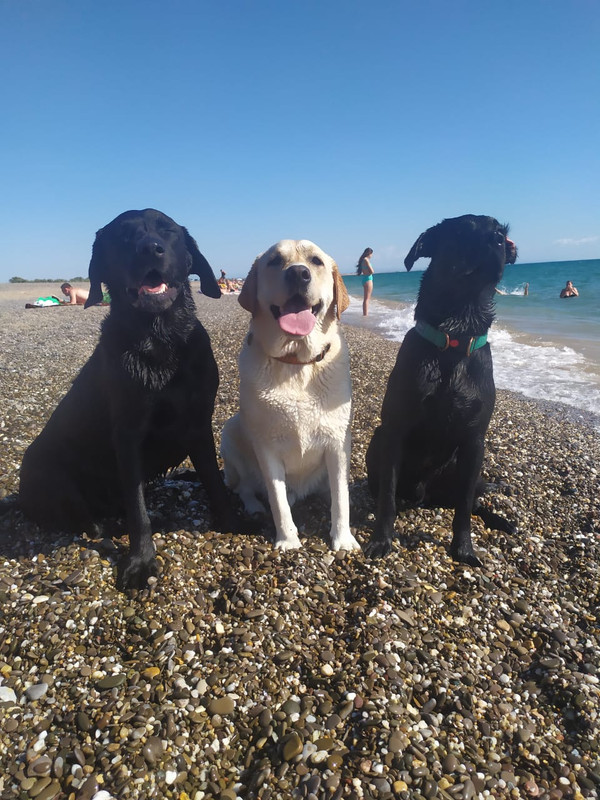 WhatsApp Image 2020-07-23 at 19.48.19(2)