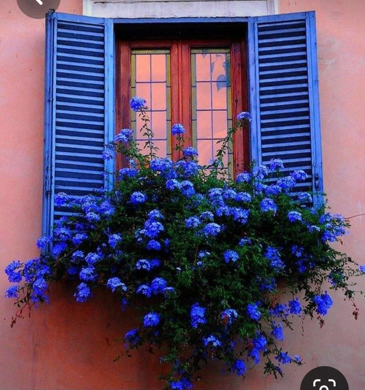 Screenshot_20230703_231452_Pinterest